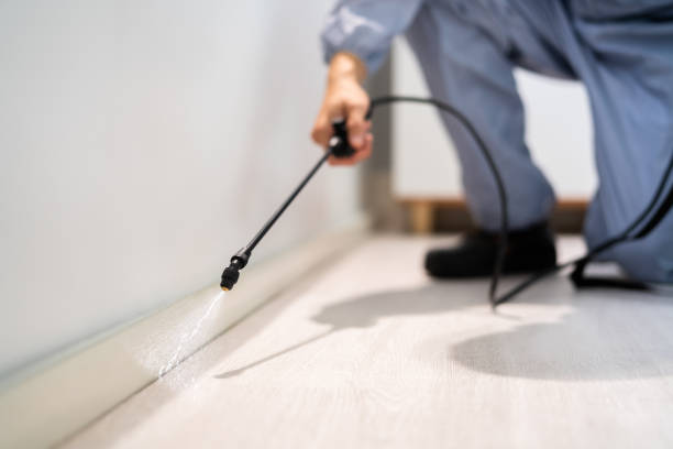 Professional exterminator conducting IPM assessment in Johnstown